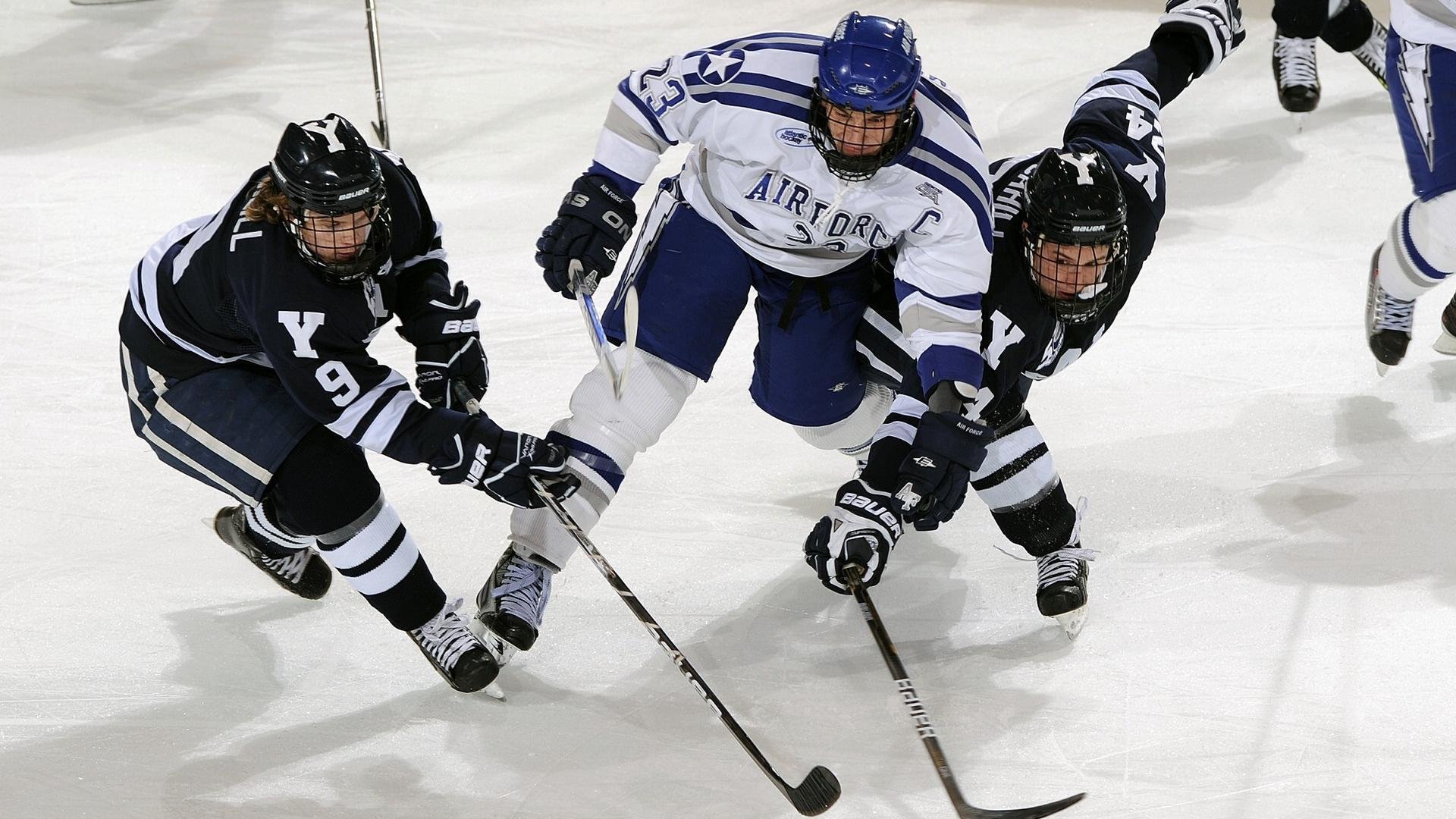 《国际赛事的筹备工作:幕后团队的默默奉献》,举办国际赛事